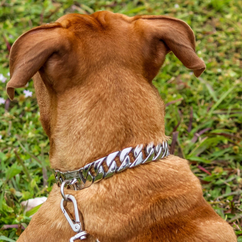 Sanity Jewelry Dog Collar / Dog Chain "Dog Collar -Galvanized " - Sanity's BadAss Custom - 1" wide - Lengths 18, 20, 22 & 24" D84