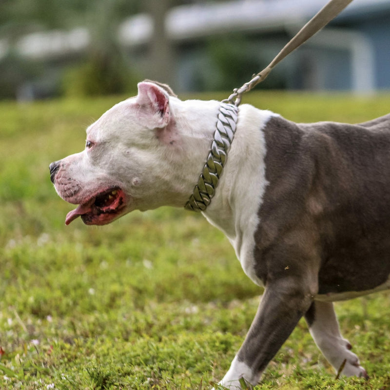 Sanity Jewelry Dog Collar / Dog Chain "Dog Collar" - Sanity's BadAss Classic - 1.25" wide - Lengths 18, 20, 22&24" D91